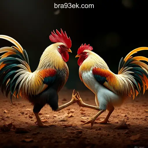 Gaming Experience 93EK.com platform-online cassino Brasil #1 - 800+ Premium and Exclusive Games